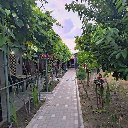 Resort Casa Mihai Costinesti